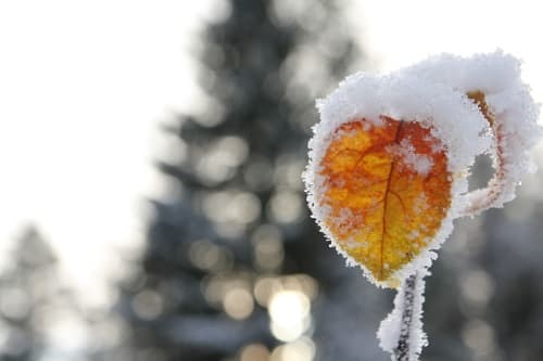 Sajtregler på Norrland ifokus